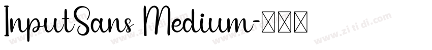 InputSans Medium字体转换